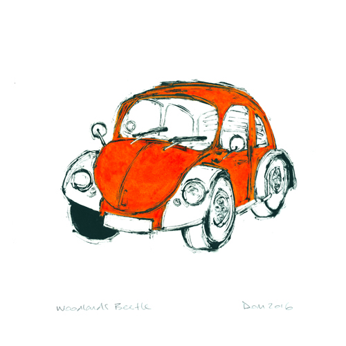 Woodlands Beetle, Orange 1