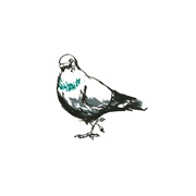 Garnethill Pigeon I, Green