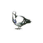 Garnethill Pigeon II, Violet