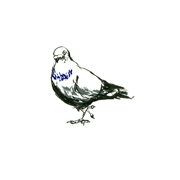 Garnethill Pigeon I, Violet