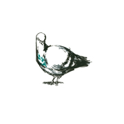 Garnethill Pigeon II, Green