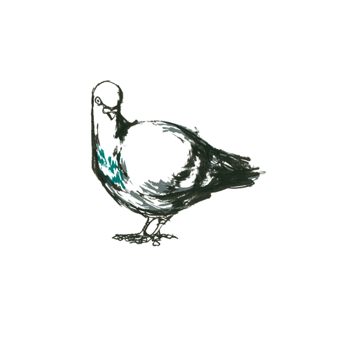 Garnethill Pigeon II, Green