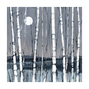 Birch Trees, Winter